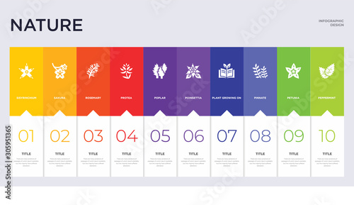 10 nature concept set included peppermint, petunia, pinnate, plant growing on book, poinsettia, poplar, protea, rosemary, sakura icons