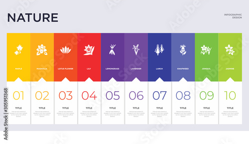 10 nature concept set included jasmine, jonquil, knapweed, larch, lavender, lemongrass, lily, lotus flower, magnolia icons