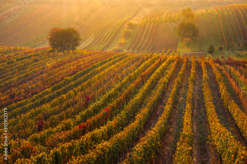 Moravian fields in autumn time. Rolling fileds in Czech Republic near Brno.