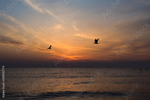 Beautiful orange dawn / sunrise over the Mediterranean Sea, waves splashing, birds flying
