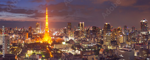 Tokyo, Japan skyline with the Tokyo Tower at night