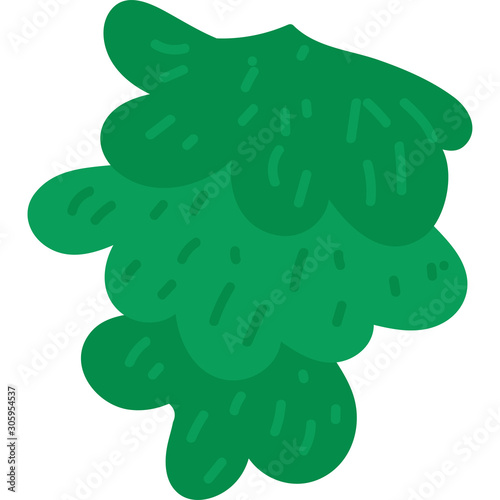 Green christmas viscum bunch flat vector illustration