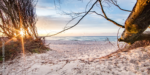 Fototapeta Naklejka Na Ścianę i Meble -  traumstrand