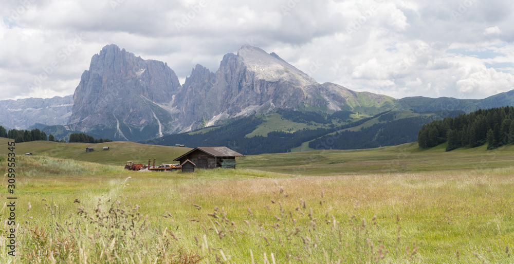 Landscapes on Alpe di Siusi with Sassolungo or Langkofel Mountain Group in Background and small cabins on the grassland in Summer, South Tyrol, Italy Landscapes on Alpe di Siusi with Sassolungo or Langkofel Mountain Group in Background and small cabins on the grassland in Summer, South Tyrol, Italy