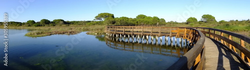 Boardwalk at the Po Delta Botanical Garden in the salt marsh at Rosolina Mare, Italy