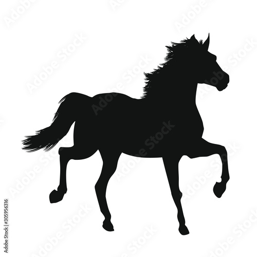 Horse Silhouettes
