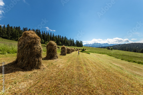 Fototapeta Naklejka Na Ścianę i Meble -  tatry pola słoma widoki niebo chmury polska