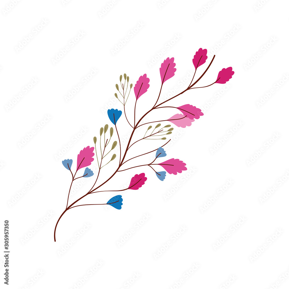 Isolated leaves drawing vector design