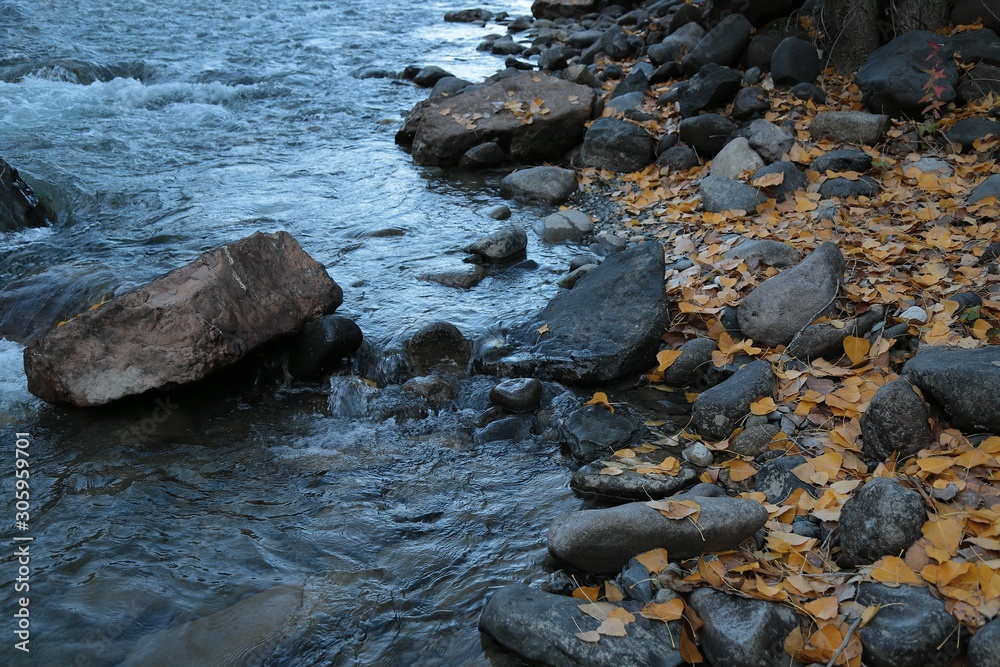 Autumn in the forest mountain stream. Beautiful autumn forest, rocks covered with moss. Mountain river with rapids and waterfalls. Autumn in the forest mountain stream. Beautiful autumn forest, rocks covered with moss. Mountain river with rapids and waterfalls.