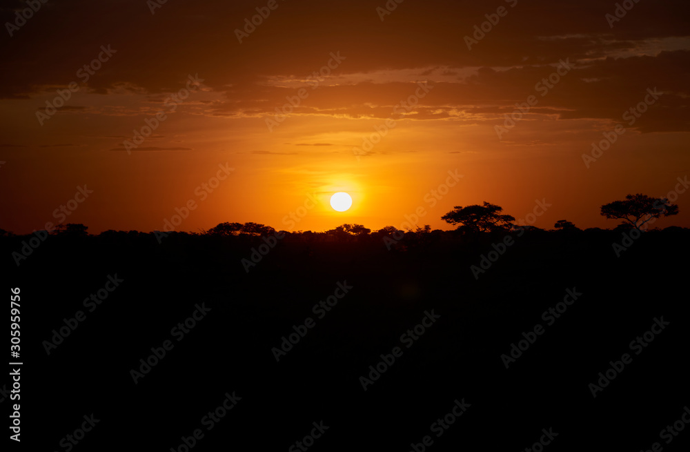 Sunset in Serengeti