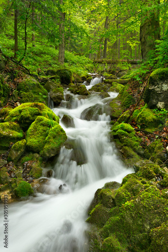 Fototapeta Naklejka Na Ścianę i Meble -  Waterfall in a lush gorge in Slovenský Raj, Slovakia