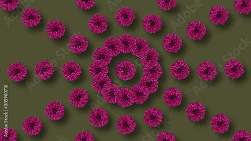 Flowers background