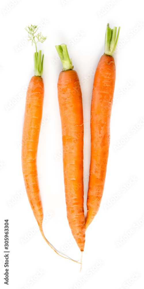 Carrot group isolated on white background Carrot group isolated on white background