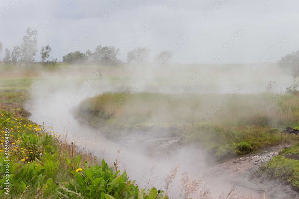 Hot geothermal creek under fog, sulfur stream in meadow, haze and mist abve