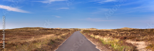 Road through the landscape of Terschelling island in The Netherlands