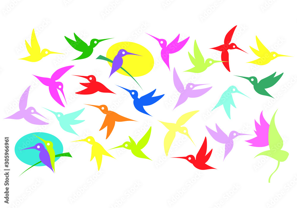 Colibri, hummingbirds. Illustration of a flying colorful birds. Vector drawing for Illustration.