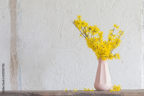 forsythia  in vase on white background photo