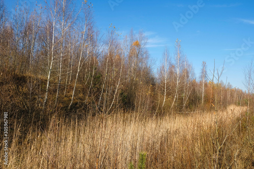 Ditch with dry reeds that goes far. Wetlands in Ukraine. Ukrainian tourism.