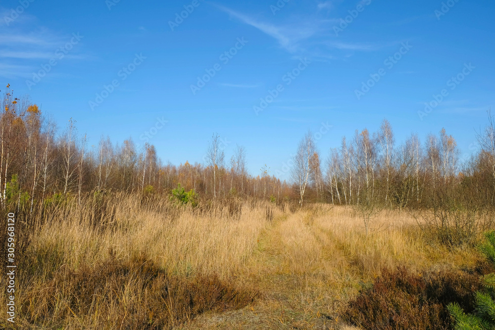 The way that goes far. Natural park in Ukraine in autumn. Ukrainian tourism. The way that goes far. Natural park in Ukraine in autumn. Ukrainian tourism.