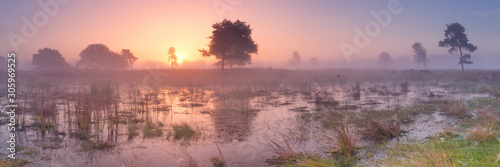 Sunrise over wetland in The Netherlands photo