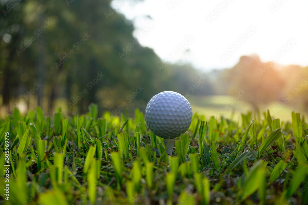 golf ball on green in the evening golf course with sunshine.