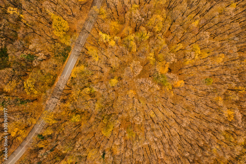 Aerial view of autumn fores...
