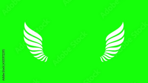 Wings flap animation on green background