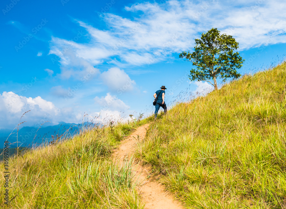 Lonely man walking away on the hiking path on green hill with blue sky and tree on background