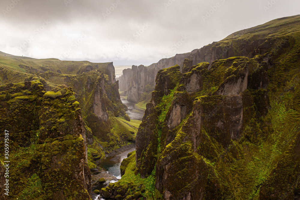 Naklejka premium Green mossy canyon with river and narrow walls in fog and mist, Iceland fjadrargljufur