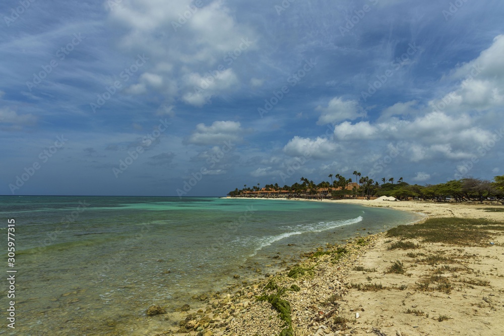 Fototapeta premium Turquoise sea water and blue sky. Eagle Beach of Aruba Island. Beautiful nature background.