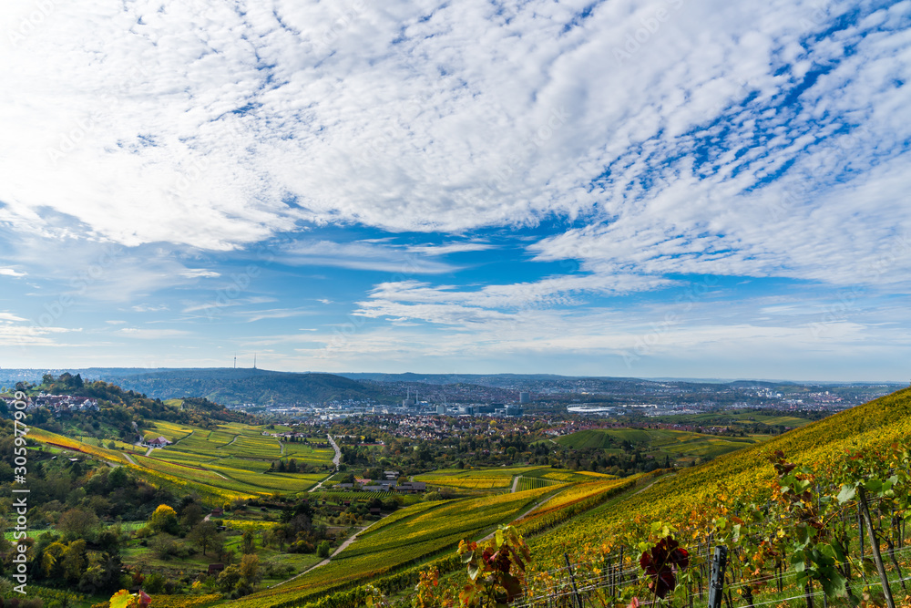 Germany, Stuttgart city tv tower and skyline behind colorful vineyard in autumn season