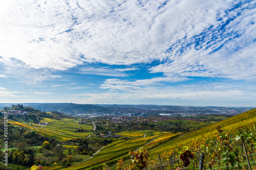 Germany  Stuttgart city tv tower and skyline behind colorful vineyard in autumn season