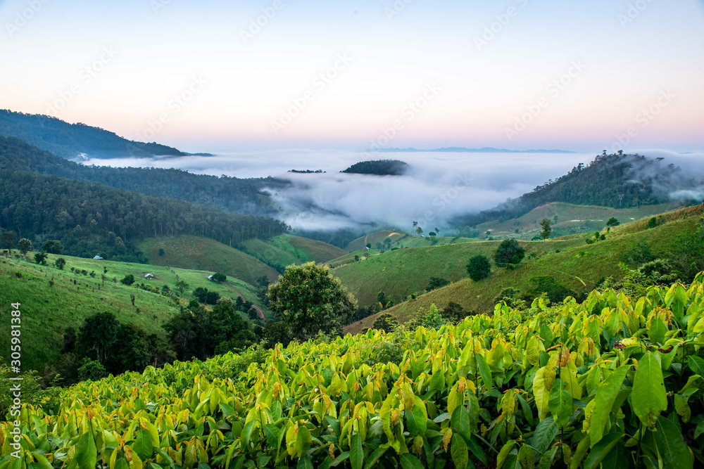 The morning mist on the green hills that are beautiful and refreshing