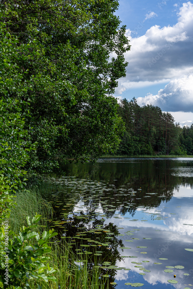 At the lake in Koksu (Kokšu) nature park on a summer day in Latvia
