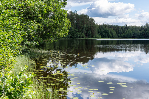 At the lake in Koksu (Kokšu) nature park on a summer day in Latvia