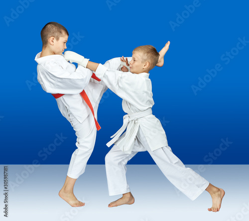 Sportsmen in karategi are hitting karate blows