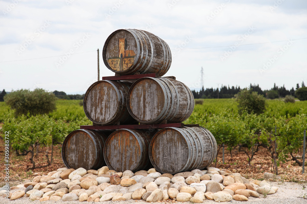 Wine Barrels in vineyard