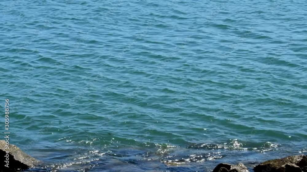 Relaxing water washing up on a shoreline Relaxing water washing up on a shoreline