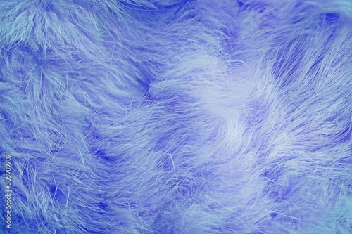 Beautiful abstract background.Blue fur.