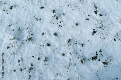 Textura de nieve sobre el pastizal © Daniel