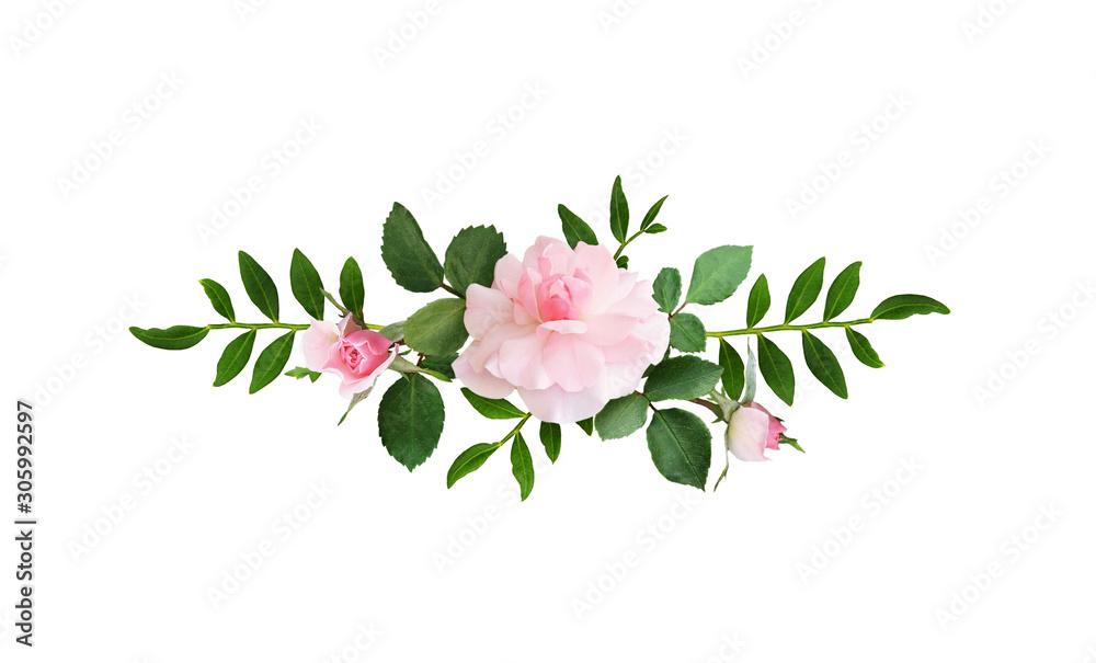 Pink rose flowers in a line arrangement Pink rose flowers in a line arrangement