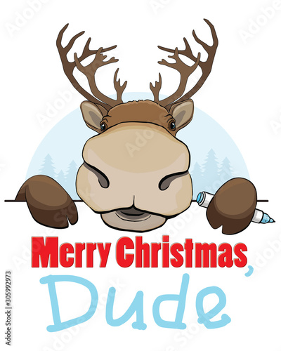 Christmas card with reindeer on white and blue background, funny deer peek a boo photo