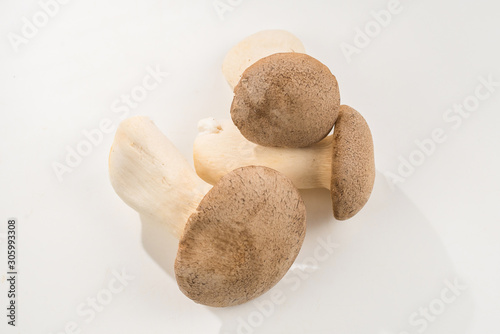 Eringi mushrooms isolated on white background.