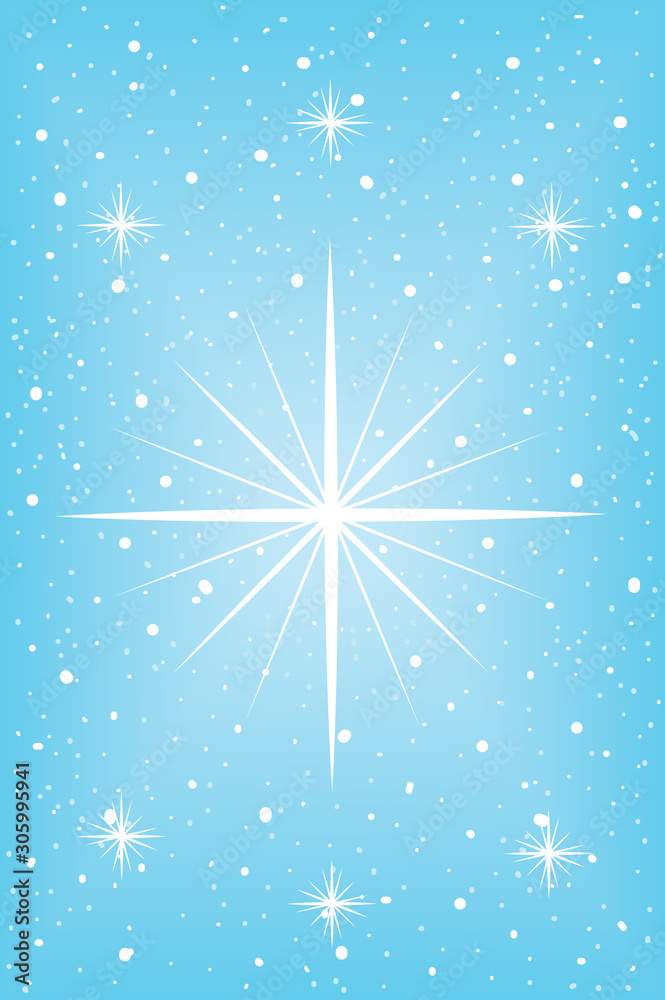 The winter star The winter star