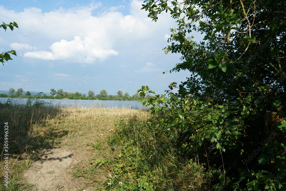 The Danube and its old waters are photographed in Bavaria near Regensburg The Danube and its old waters are photographed in Bavaria near Regensburg