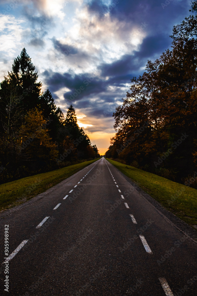 Naklejka premium Asphalt road between the forest, sunset