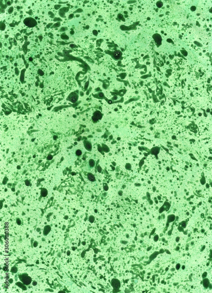 background texture stone green malachite background texture stone green malachite