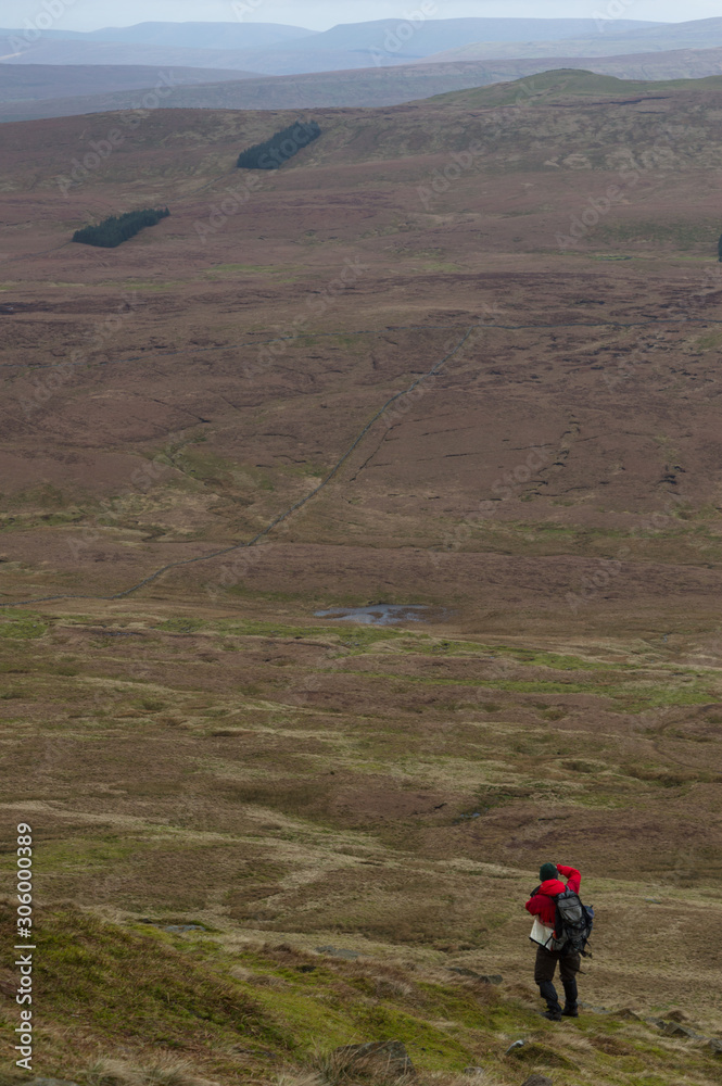 Obraz premium A walker looking out over Pen-y-ghent Valley in the Yorkshire Dales