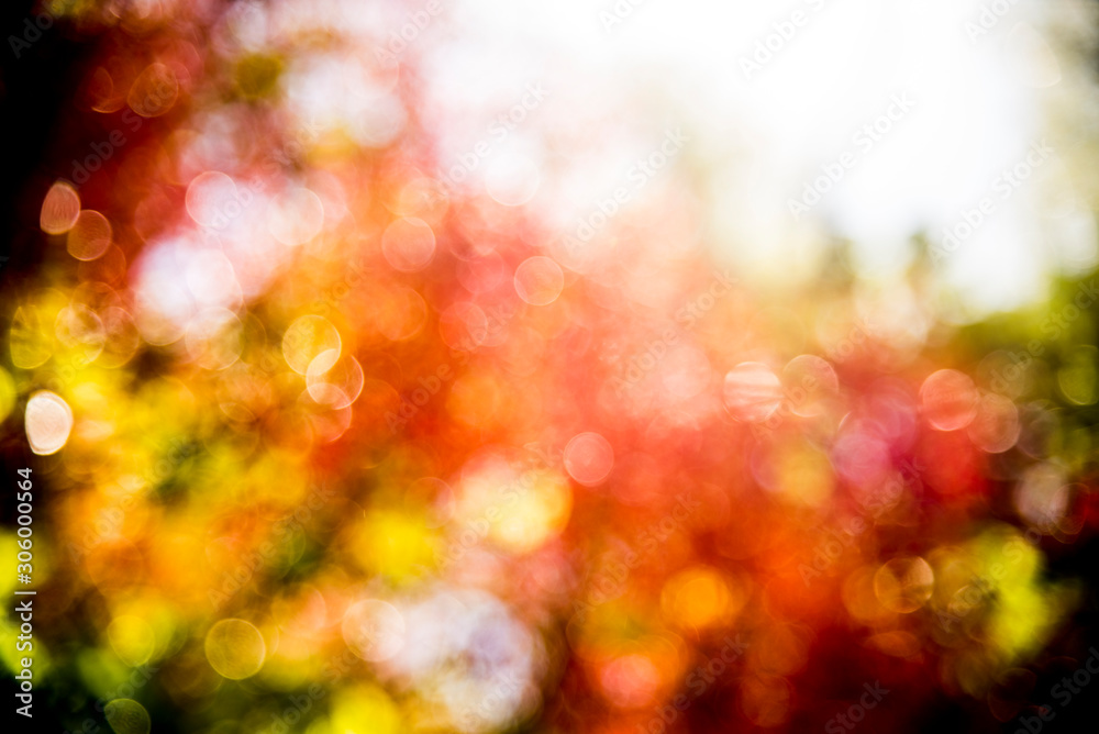 colorful backgrounds colorful backgrounds