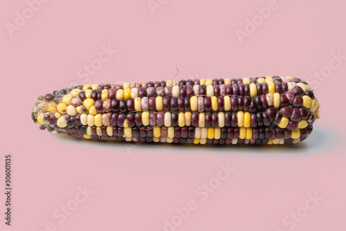 top view of the multicolored black and yellow mix raw indian corn photo